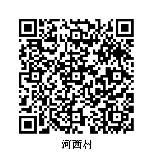 河西村