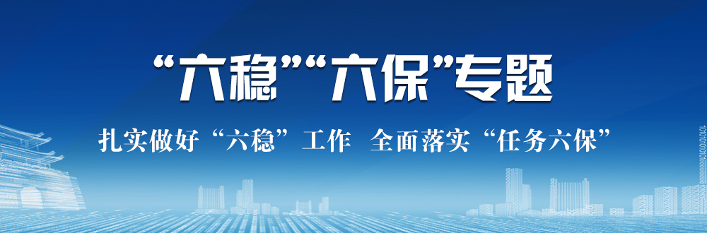 六穩(wěn)六保專題